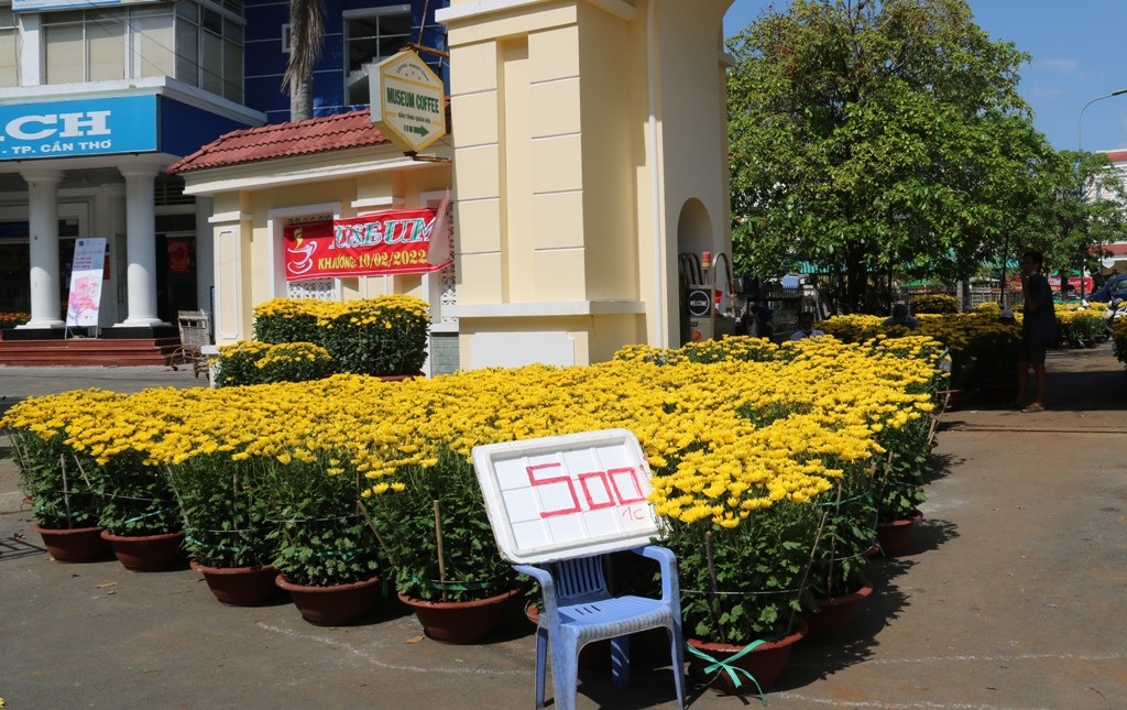 Chợ 29 Tết, mua nhanh, bán lẹ, hối hả đưa xuân về nhà - 9 Chợ 29 Tết, mua nhanh, bán lẹ, hối hả đưa xuân về nhà - 9