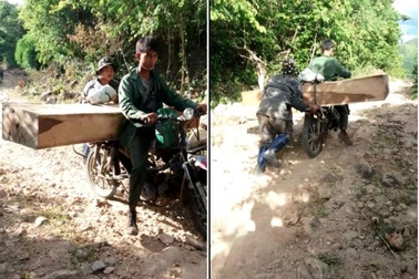 “Tiếng thét” đau đớn của rừng xanh Tây Nguyên: Bước đầu cảnh cáo trạm trưởng!