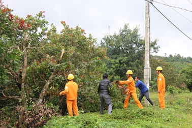 PC Đắk Nông đảm bảo an toàn lưới điện trong mùa mưa bão