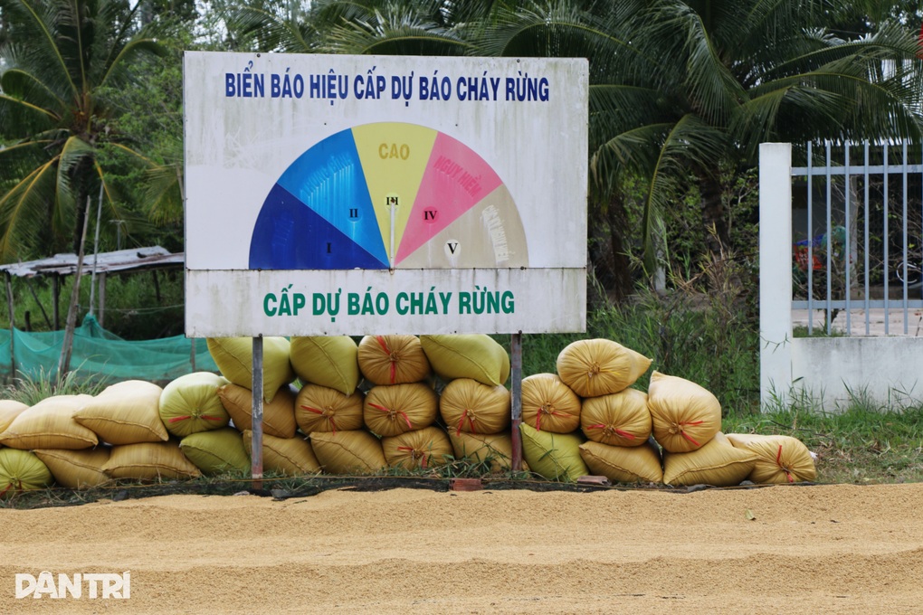 Vườn quốc gia U Minh Thượng tạm ngưng đón khách tham quan để phòng cháy - 1 Vườn quốc gia U Minh Thượng tạm ngưng đón khách tham quan để phòng cháy - 1