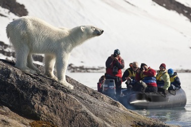 Nơi khách đến sống không cần visa, gấu Bắc Cực nhiều hơn con người