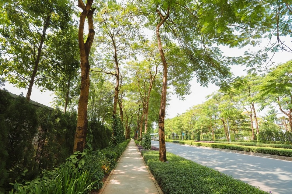 Giải mã sức hút tại The Zen Residence – Gamuda Gardens - 2 Giải mã sức hút tại The Zen Residence – Gamuda Gardens - 2