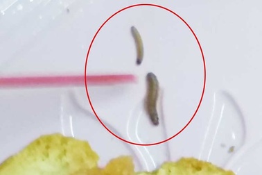 Mất 12 triệu vì đăng Facebook bánh Trung thu có dòi