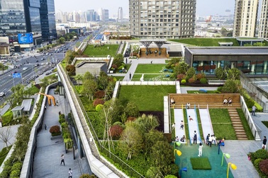 Sửng sốt với khu đô thị xanh, trồng cả vườn cây trên mái nhà ở Trung Quốc