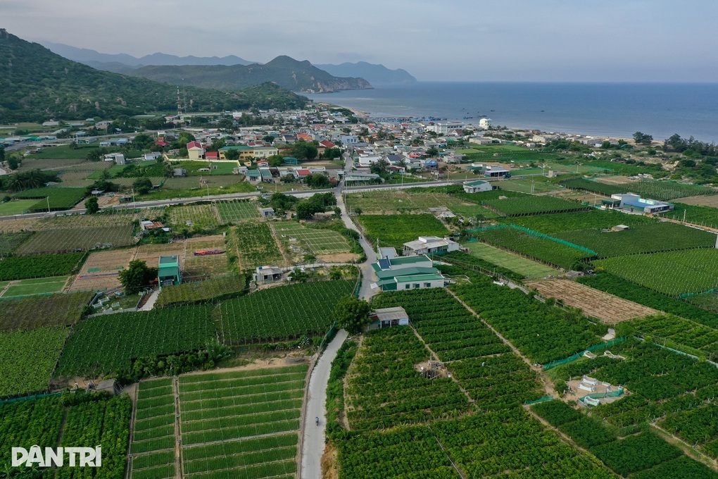 Hai dự án điện hạt nhân tại Khánh Hòa dự kiến vận hành giai đoạn 2030-2035 - 1 Hai dự án điện hạt nhân tại Khánh Hòa dự kiến vận hành giai đoạn 2030-2035 - 1