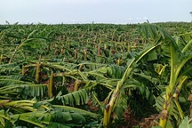 Giông lốc làm tốc mái hàng trăm căn nhà, 3 người bị thương