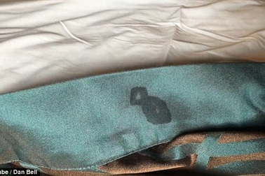 Du khách phát hoảng khi thấy rệp bò lổm ngổm, gián chết trong tủ lạnh