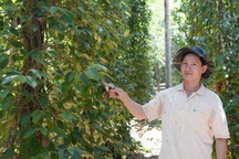 Từ chối nhận chế độ hộ nghèo, nông dân vươn lên thành tỷ phú