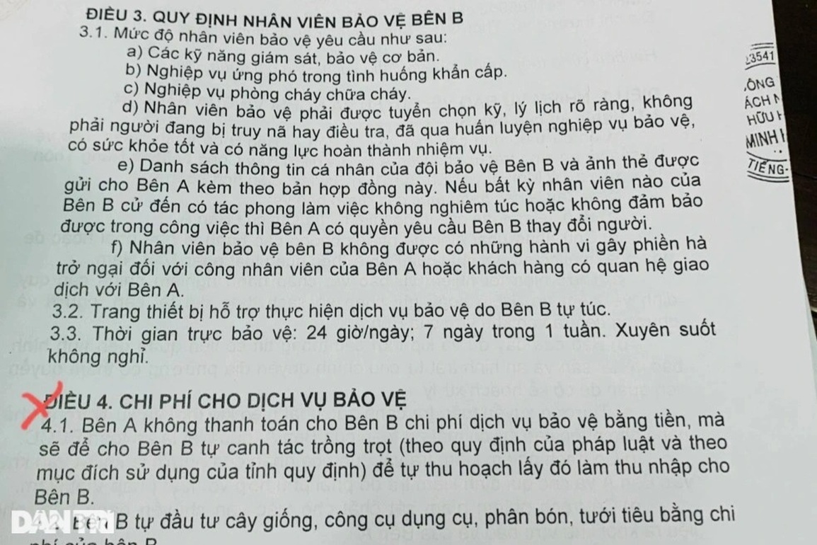 Được giao bảo vệ rừng, doanh nghiệp... để mất rừng tràn lan - 6 Được giao bảo vệ rừng, doanh nghiệp... để mất rừng tràn lan - 6
