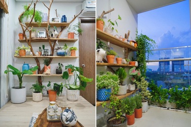 "Rừng cây" xanh mát trong căn hộ 58m2 của vợ chồng trẻ ưa sống tối giản