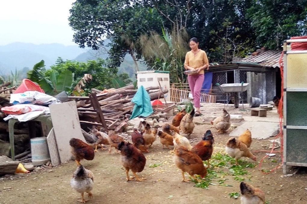 Nhiều hoạt động bình đẳng giới vùng đồng bào dân tộc thiểu số ở Quảng Ninh - 3 Nhiều hoạt động bình đẳng giới vùng đồng bào dân tộc thiểu số ở Quảng Ninh - 3