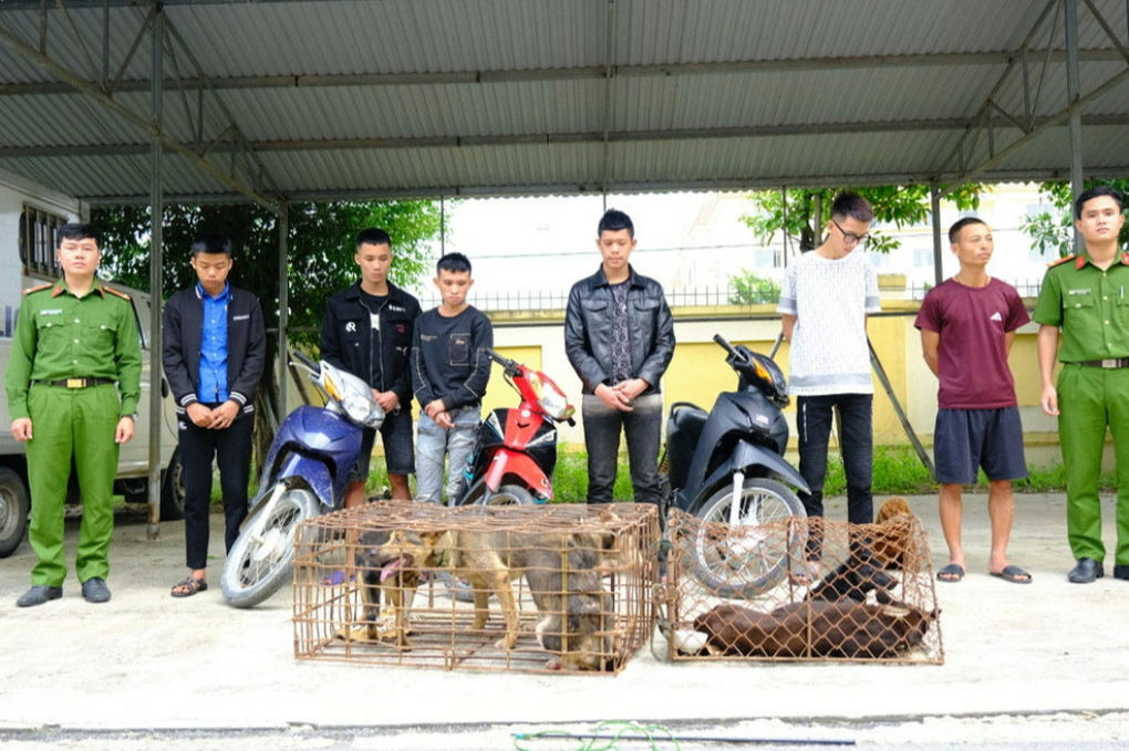 Bắt giữ băng nhóm gây ra hàng loạt vụ trộm chó - 1 Bắt giữ băng nhóm gây ra hàng loạt vụ trộm chó - 1
