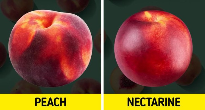 12 loại thực phẩm thường xuyên khiến người khác nhầm lẫn tai hại, chỉ nhìn vẻ ngoài thì đố ai phân biệt được - Ảnh 5. 12 loại thực phẩm thường xuyên khiến người khác nhầm lẫn tai hại, chỉ nhìn vẻ ngoài thì đố ai phân biệt được - Ảnh 5.