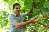 Lão nông "rồ" bỏ hàng chục tỷ đồng tạo giống trái cây quê, được giá khó tin