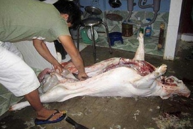 Suất ăn công nghiệp: Vừa ăn vừa... lo ngay ngáy!