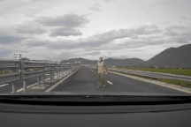 Người đàn ông 2 tay cầm đá chặn ô tô trên cao tốc Vân Phong - Nha Trang