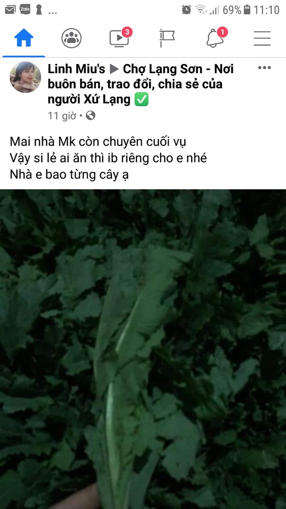 Con rao bán cây thuốc phiện trên Facebook, bố bị tóm đang ship hàng - 1 Con rao bán cây thuốc phiện trên Facebook, bố bị tóm đang ship hàng - 1