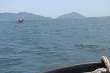 Tàu cá bị đâm chìm trên biển, 2 người được cứu sống