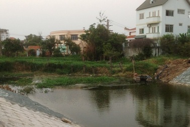 Cả khu dân cư kêu cứu vì bị... muỗi tấn công