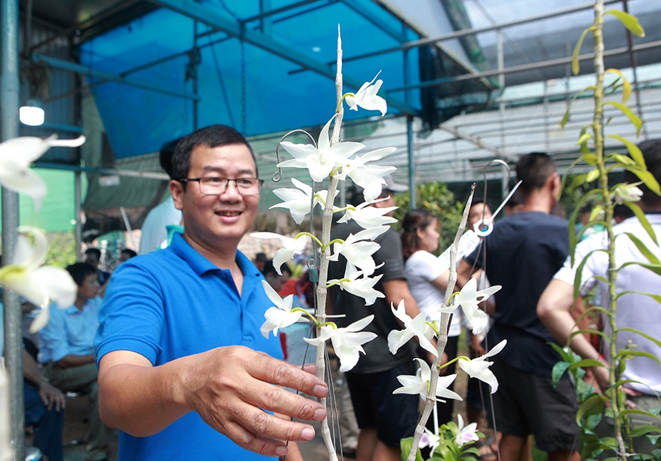 Chiêm ngưỡng những giỏ hoa lan đột biến hiếm có giá hàng trăm triệu - 3 Chiêm ngưỡng những giỏ hoa lan đột biến hiếm có giá hàng trăm triệu - 3