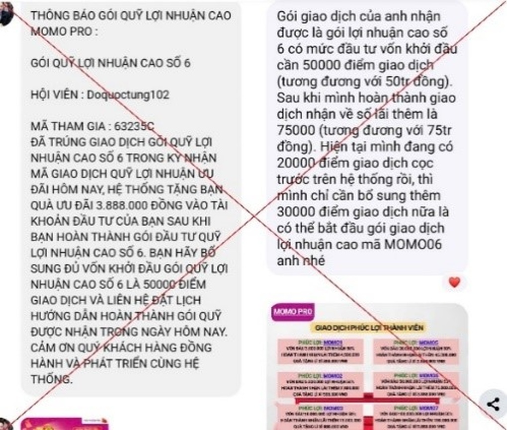 Người đàn ông ở Hà Nội mất hàng trăm triệu đồng khi đầu tư qua MoMo Pro - 1