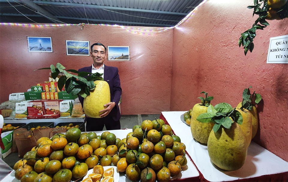 Hà Giang khoe cam sành, chè shan tuyết với người Hà Nội - 2 Hà Giang khoe cam sành, chè shan tuyết với người Hà Nội - 2