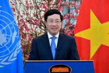 Việt Nam sẽ chủ trì 30 cuộc họp của Hội đồng Bảo an Liên Hợp Quốc