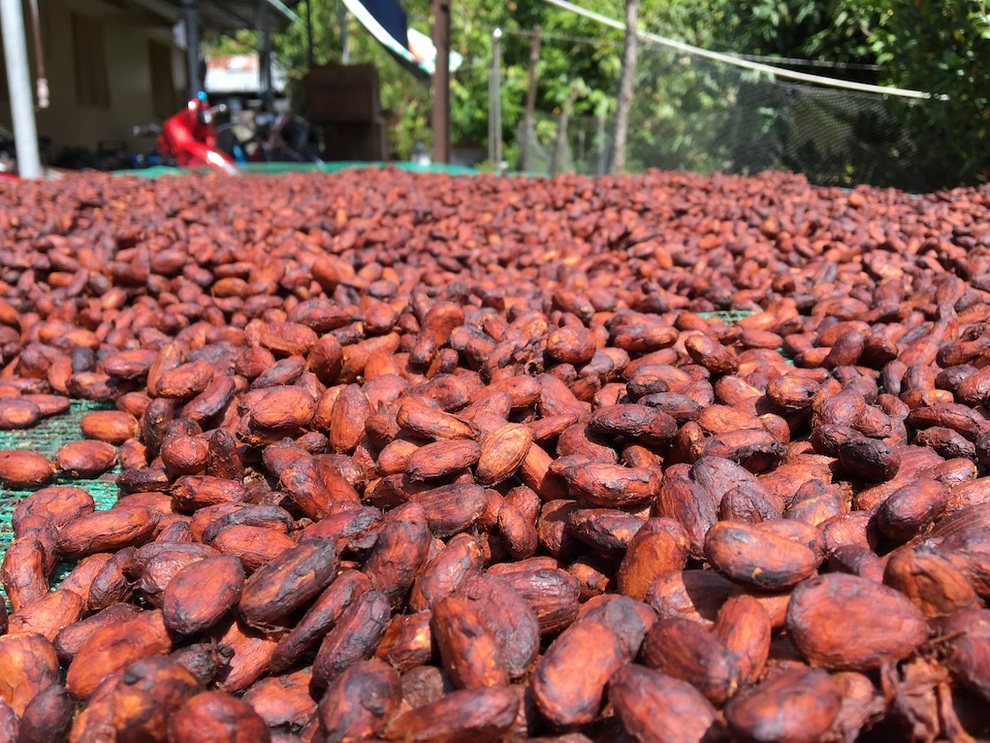 Chocolate Tiền Giang: Tạo giá trị kinh tế cao bằng thương mại điện tử - 1 Chocolate Tiền Giang: Tạo giá trị kinh tế cao bằng thương mại điện tử - 1
