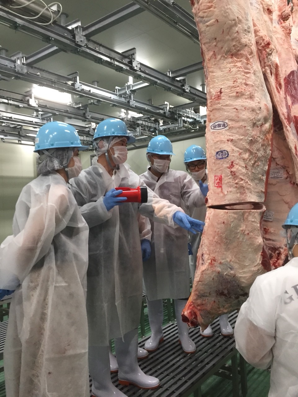 Ziuka Kobe Beef phân phối thịt bò Kobe chính hiệu tại Việt Nam - 2 Ziuka Kobe Beef phân phối thịt bò Kobe chính hiệu tại Việt Nam - 2