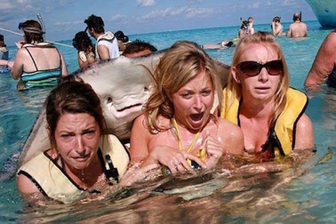 Những chuyện bi hài "khó đỡ" trên mọi nẻo đường du lịch trong năm 2016