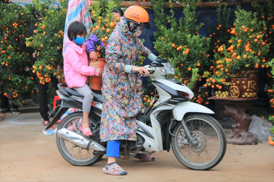 Người dân nô nức rước nàng xuân về nhà khi dịch Covid-19 được khống chế - 3 Người dân nô nức rước nàng xuân về nhà khi dịch Covid-19 được khống chế - 3