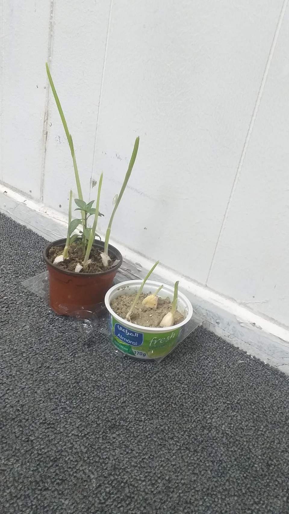 Cười bò khi dân mạng đua nhau chế ảnh giao dịch lan đột biến tiền tỷ - 12 Cười bò khi dân mạng đua nhau chế ảnh giao dịch lan đột biến tiền tỷ - 12
