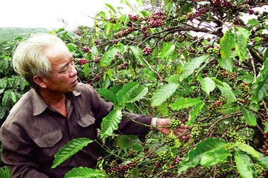 Doanh nghiệp xuất khẩu vẫn “đói” thông tin