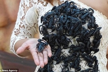 "Nữ hoàng bọ cạp" với màn biểu diễn lạnh sống lưng