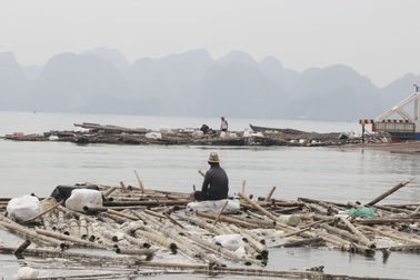 Quảng Ninh đặt mục tiêu một tháng dọn xong rác trên vịnh Hạ Long