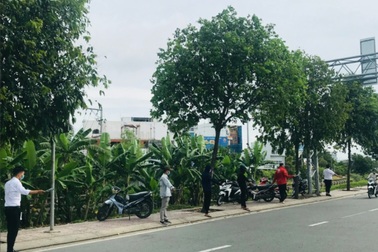 Thất nghiệp đi làm "cò đất", bất động sản thiếu nhân lực chuyên nghiệp