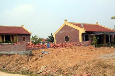 Hà Nội có đập bỏ 50 biệt thự không phép trong rừng Ba Vì?