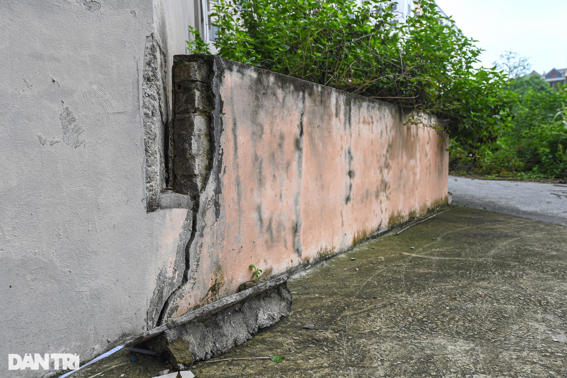 Khu tái định cư trăm tỷ: Nơi để cỏ mọc, chỗ nuôi gà ở Hà Nội - 5