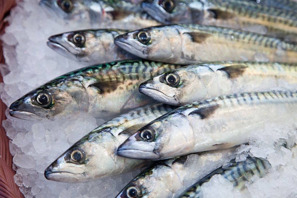 Loại cá rẻ bèo giàu omega-3 hơn cá hồi, nhiều người Việt ăn mỗi ngày - 1 Loại cá rẻ bèo giàu omega-3 hơn cá hồi, nhiều người Việt ăn mỗi ngày - 1