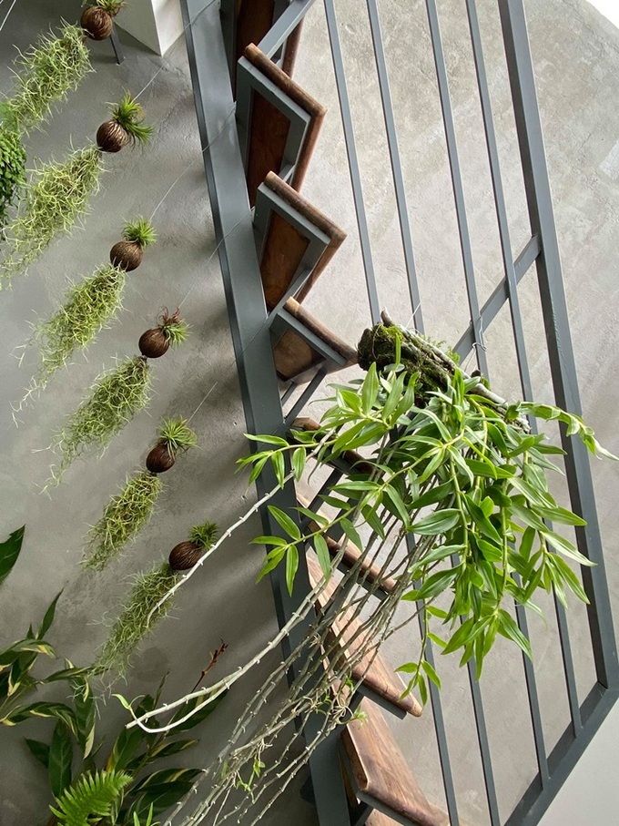 2 năm tiết kiệm 1,9 tỷ để mua đất, xây nhà trong con hẻm nhỏ nằm giữa lòng phố núi của vợ chồng tuổi 28 - Ảnh 12. 2 năm tiết kiệm 1,9 tỷ để mua đất, xây nhà trong con hẻm nhỏ nằm giữa lòng phố núi của vợ chồng tuổi 28 - Ảnh 12.