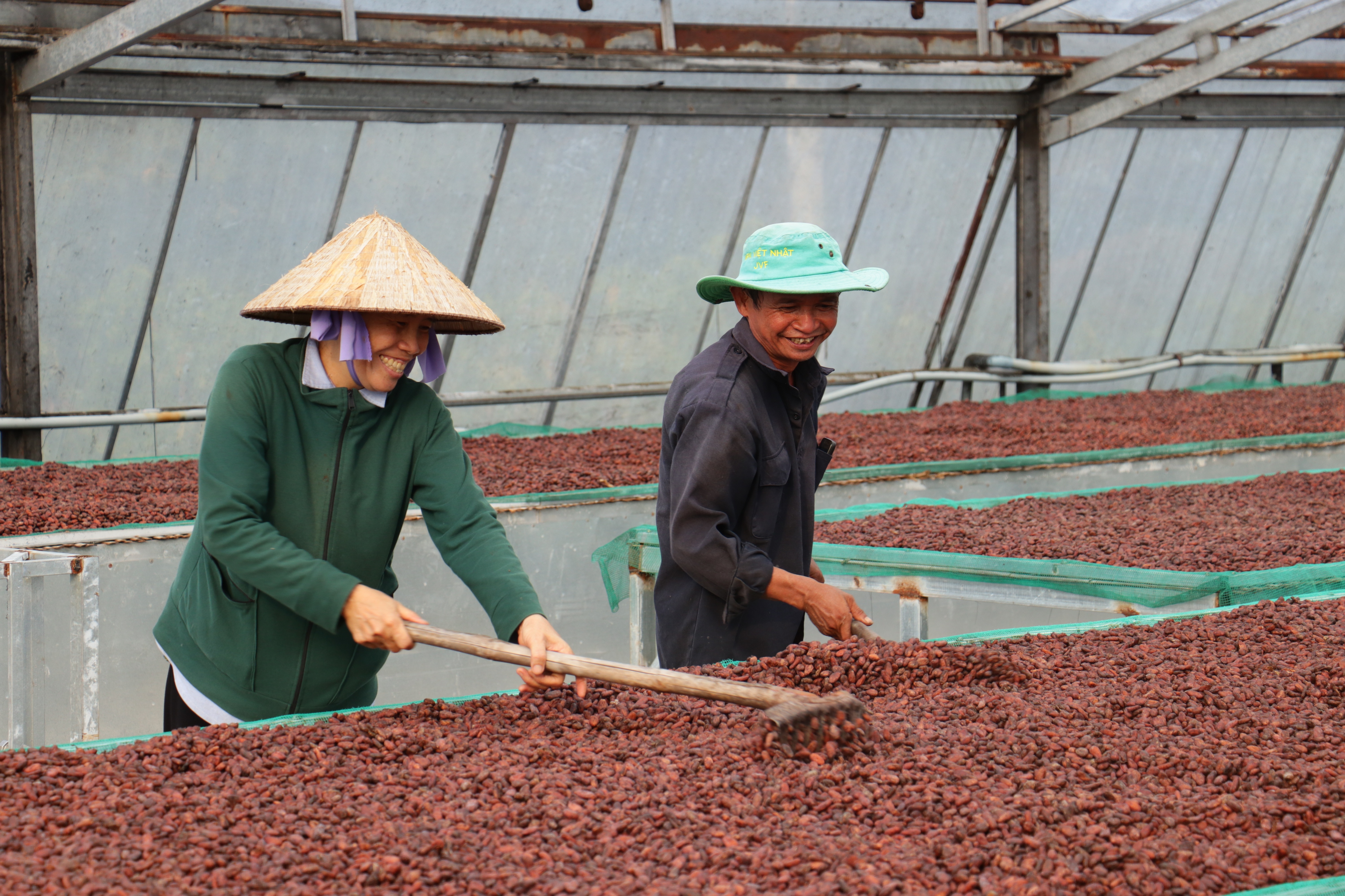 Heyday Cacao - Giữ trọn tinh hoa cacao Việt - 2