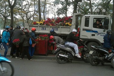 Khoảng cách tai hại giữa hiện tượng và bản chất