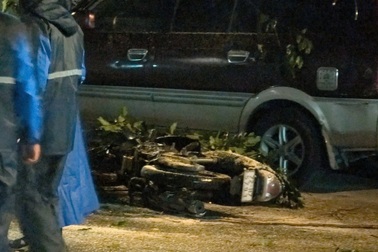 Cây đổ đè người đi xe máy ở TPHCM