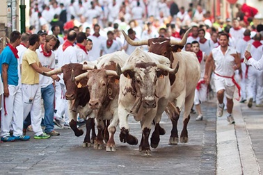 10 lễ hội bạn nên tham dự trong đời