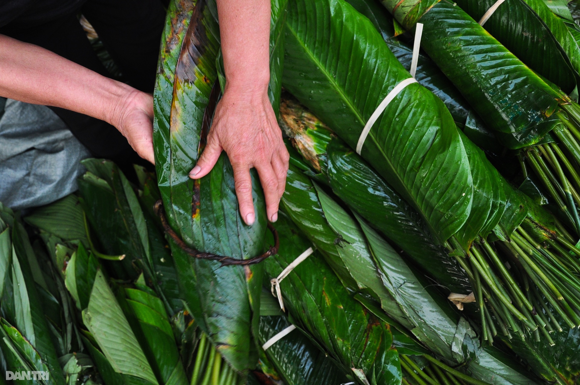 Chợ lá dong lâu đời nhất Sài Gòn tấp nập ngày giáp Tết - 2