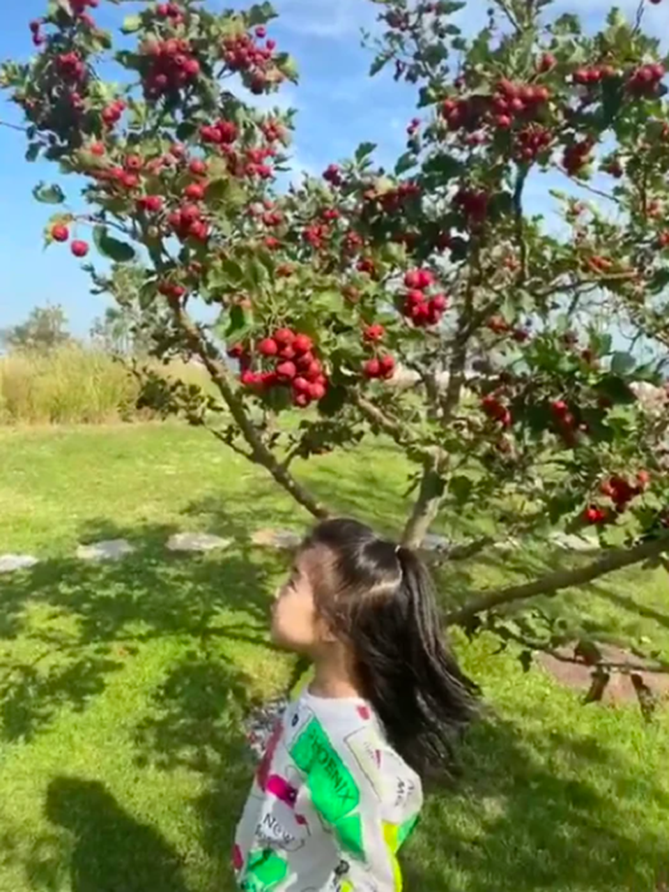 Lộ diện hình ảnh hai con của mỹ nhân Chương Tử Di - 9 Lộ diện hình ảnh hai con của mỹ nhân Chương Tử Di - 9