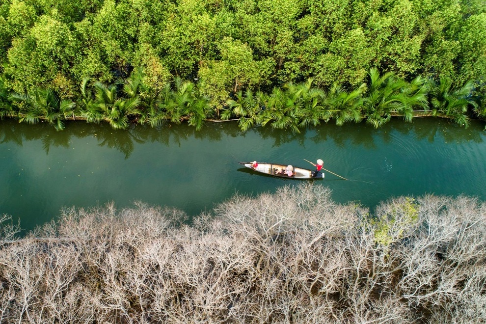 Đẹp nao lòng mùa thu tại rừng nước mặn chuyển màu lạ kỳ xứ Huế - 8