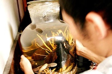 Ăn gì bổ nấy - phi khoa học