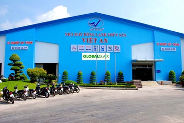 Đại gia miền Tây: Bản lĩnh vay ngàn tỷ rồi chuồn lẹ