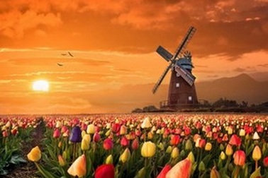 Tuyệt đẹp bộ sưu tập hình nền phong cảnh cho desktop